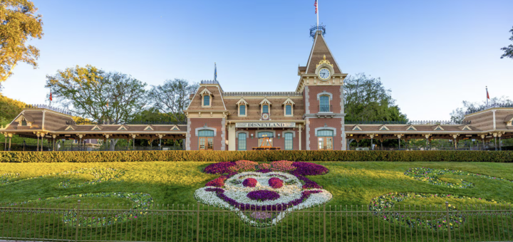 Floral Minnie mouse Disneyland